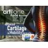 ARTILANE FORTE FOR HEALTHY JOINTS DIETARY SUPPLEMENT CITRIC FLAVOUR 10 ML X 15 BOTTLES